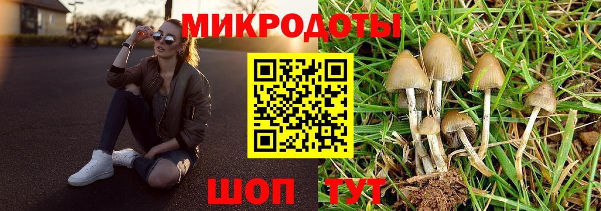 купить закладку  Псилоцибиновые грибы GOLDEN TEACHER  Вход с VPN  Галлюциногенные грибы Cubensis  Янаул 